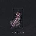 Buy Half Waif - Lavender Mp3 Download
