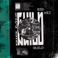 Buy Big Miz - Build / Destroy Mp3 Download