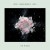 Buy Zedd - The Middle (With Maren Morris & Grey) (CDS) Mp3 Download