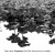 Buy Dale Lloyd - Organisms (For Rolf Julius And John Hudak) Mp3 Download