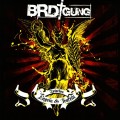 Buy Brdigung - Zwischen Engeln & Teufeln Mp3 Download