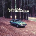 Buy Beatchild & The Slakadeliqs - Heavy Rockin' Steady Mp3 Download