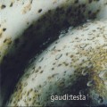 Buy Emit - Em:t 1105 - Gaudi:testa Mp3 Download