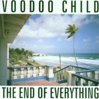 Purchase Voodoo Child - The End Of Everything