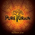 Buy Pure Grain - Indiana Sun Mp3 Download