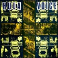 Buy Hula - Voice (Vinyl) Mp3 Download