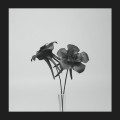 Buy Jlin - Dark Lotus (VLS) Mp3 Download