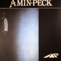 Purchase Amin-Peck - Love Disgrace (VLS)