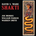 Buy David S. Ware - Shakti Mp3 Download