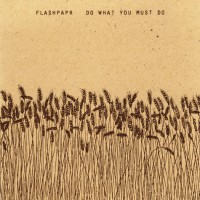 Purchase Flashpapr - Do What You Must Do