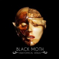 Purchase Black Moth - Anatomical Venus