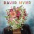 Buy David Myhr - Lucky Day Mp3 Download