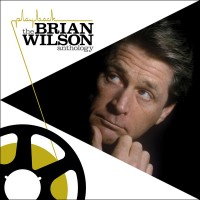 Purchase Brian Wilson - Playback - The Brian Wilson Anthology