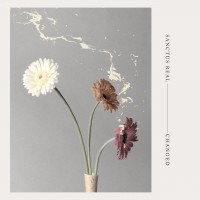 Purchase Sanctus Real - Changed