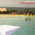 Buy Blackfish - Pole Navigation Mp3 Download