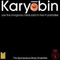 Purchase Spontaneous Music Ensemble - Karyobin (Vinyl)