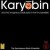 Buy Spontaneous Music Ensemble - Karyobin (Vinyl) Mp3 Download