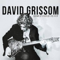 Purchase David Grissom - How It Feels To Fly