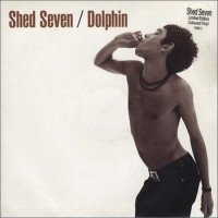Purchase Shed Seven - Dolphin