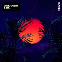 Purchase David Guetta - Flames (CDS)