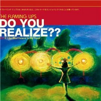 Purchase The Flaming Lips - Do You Realize?
