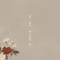 Buy Shawn Mendes - In My Blood (CDS) Mp3 Download