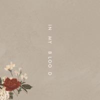 Purchase Shawn Mendes - In My Blood (CDS)