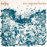 Purchase Kelpe - Ex-Aquarium