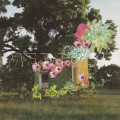 Buy Medicine - Home Everywhere Mp3 Download