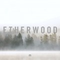 Buy Etherwood - In Stillness Mp3 Download