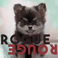 Purchase Amber Liu - Rogue Rouge