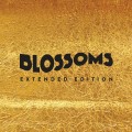 Buy Blossoms - Blossoms (Extended Edition) Mp3 Download