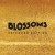 Buy Blossoms - Blossoms (Extended Edition) Mp3 Download