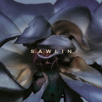 Purchase Sawlin - Ursprung