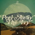 Buy The Pattern Forms - Peel Away The Ivy Mp3 Download