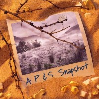 Purchase Apes Pigs & Spacemen - Snapshot