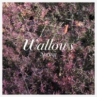 Purchase Wallows - Spring (EP)