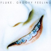 Purchase Fluke - Groovy Feeling (CDS)