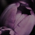 Buy Cvltvre - All Life Is// Act 1: An Act Of Letting Go (EP) Mp3 Download
