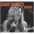 Buy Shari Puorto Band - Live At Bogie's Mp3 Download