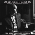 Buy Tim Steinfort - We Have Angered The Gods Mp3 Download