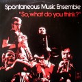 Buy Spontaneous Music Ensemble - So, What Do You Think? (Vinyl) Mp3 Download