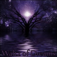 Purchase Derek & Brandon Fiechter - Waltz Of Dreams