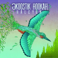 Purchase Ekoostik Hookah - Halcyon