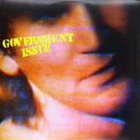 Purchase Government Issue - The Fun Just Never Ends (Vinyl)