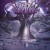 Buy Divine Insanity - Akka Mp3 Download