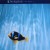 Buy The Big Dish - Swimmer (Vinyl) Mp3 Download
