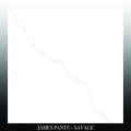 Buy James Pants - Savage Mp3 Download