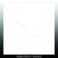 Purchase James Pants - Savage