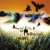 Buy The 77's - A Golden Field Of Radioactive Crows Mp3 Download